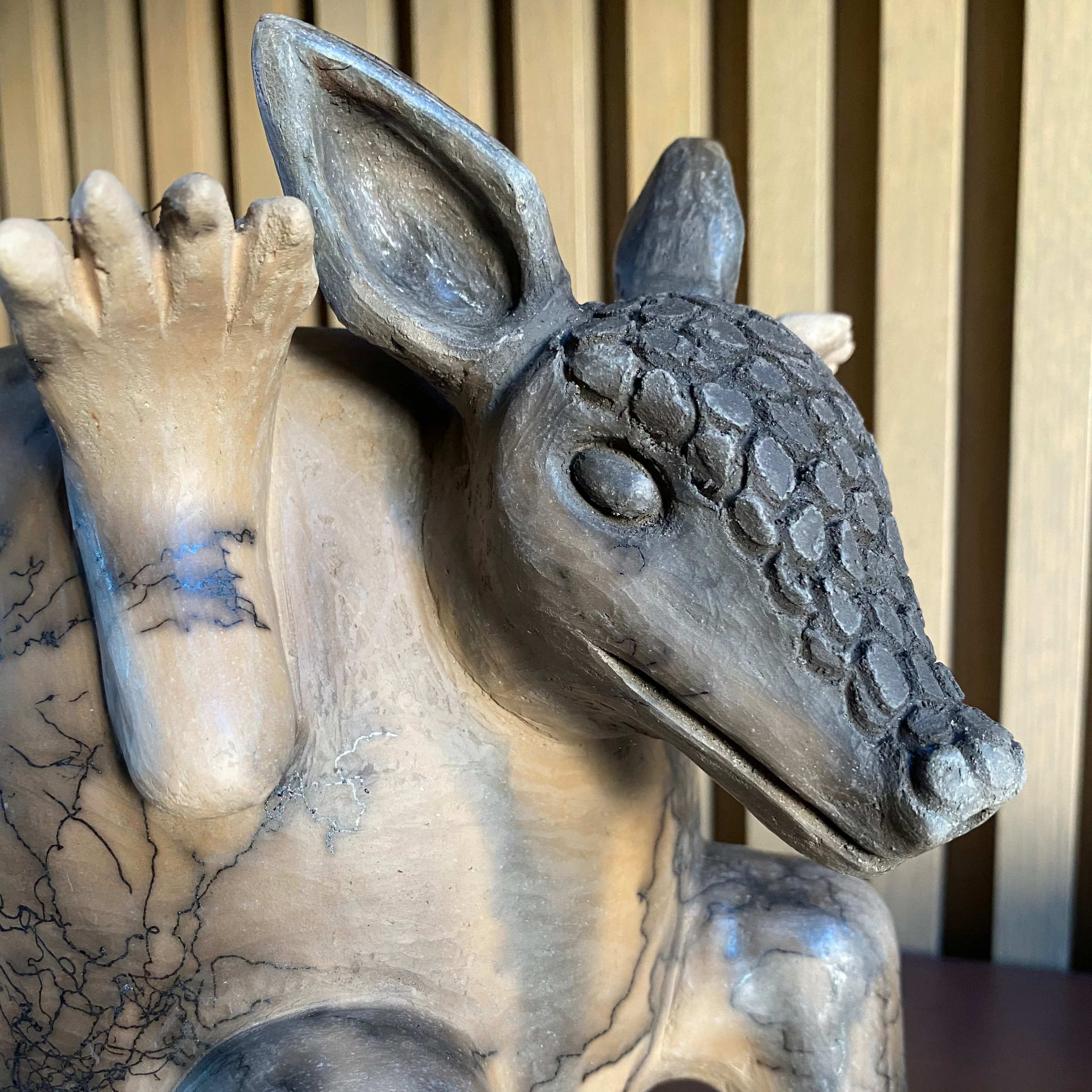 Armadillo